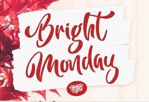 beautiful script font