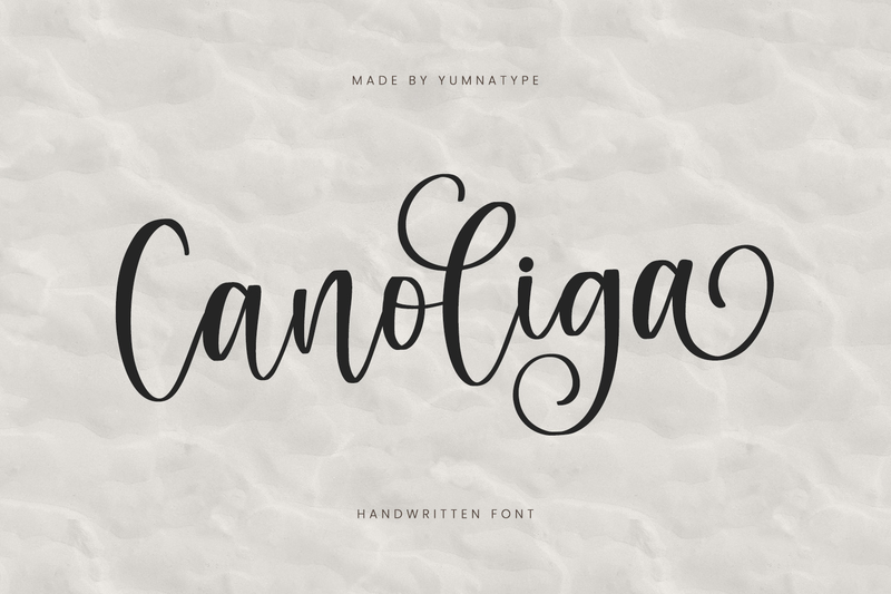 beautiful swash fonts
