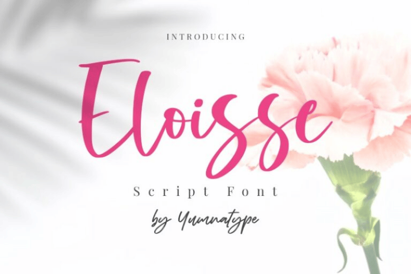 https://yumnatype.com/collection/font/eloisse-elegant-handwritten-font/ Wedding Script Fonts