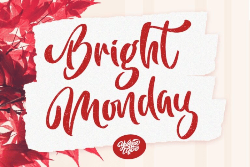 https://yumnatype.com/collection/font/bright-monday-script/