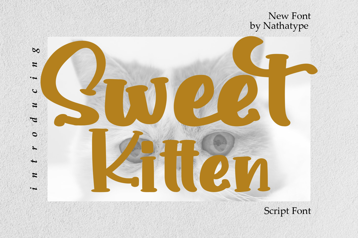 Daycare Branding Font