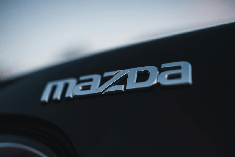 One of logo types: wordmark